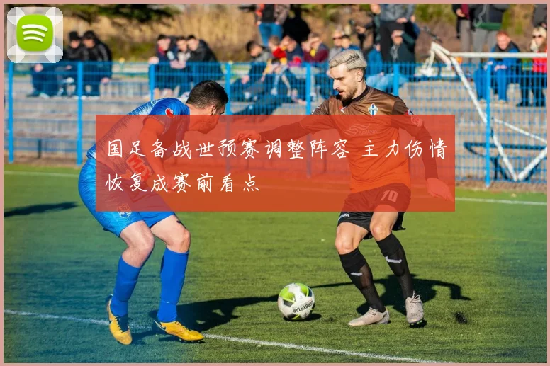 国足备战世预赛调整阵容 主力伤情恢复成赛前看点